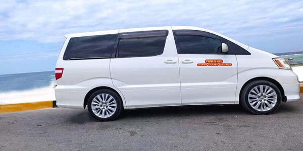 Car Rental - Alphard