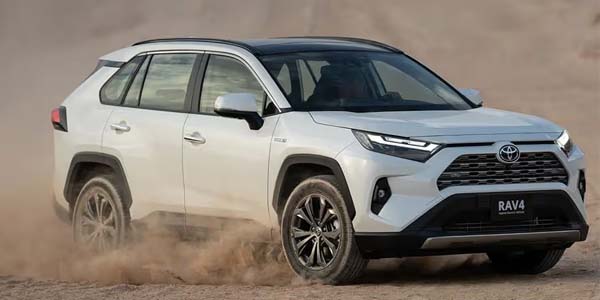 Car Rental - Rav 4
