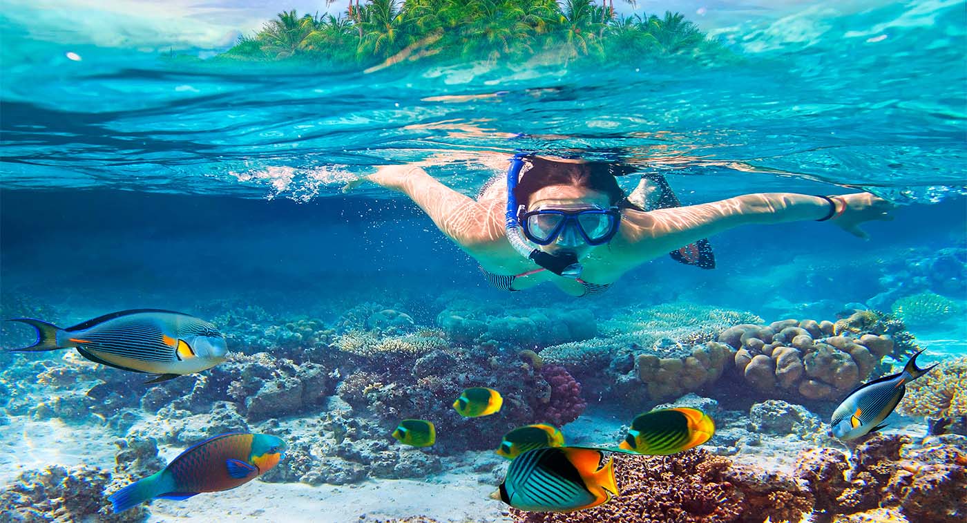 Diving & Snorkeling