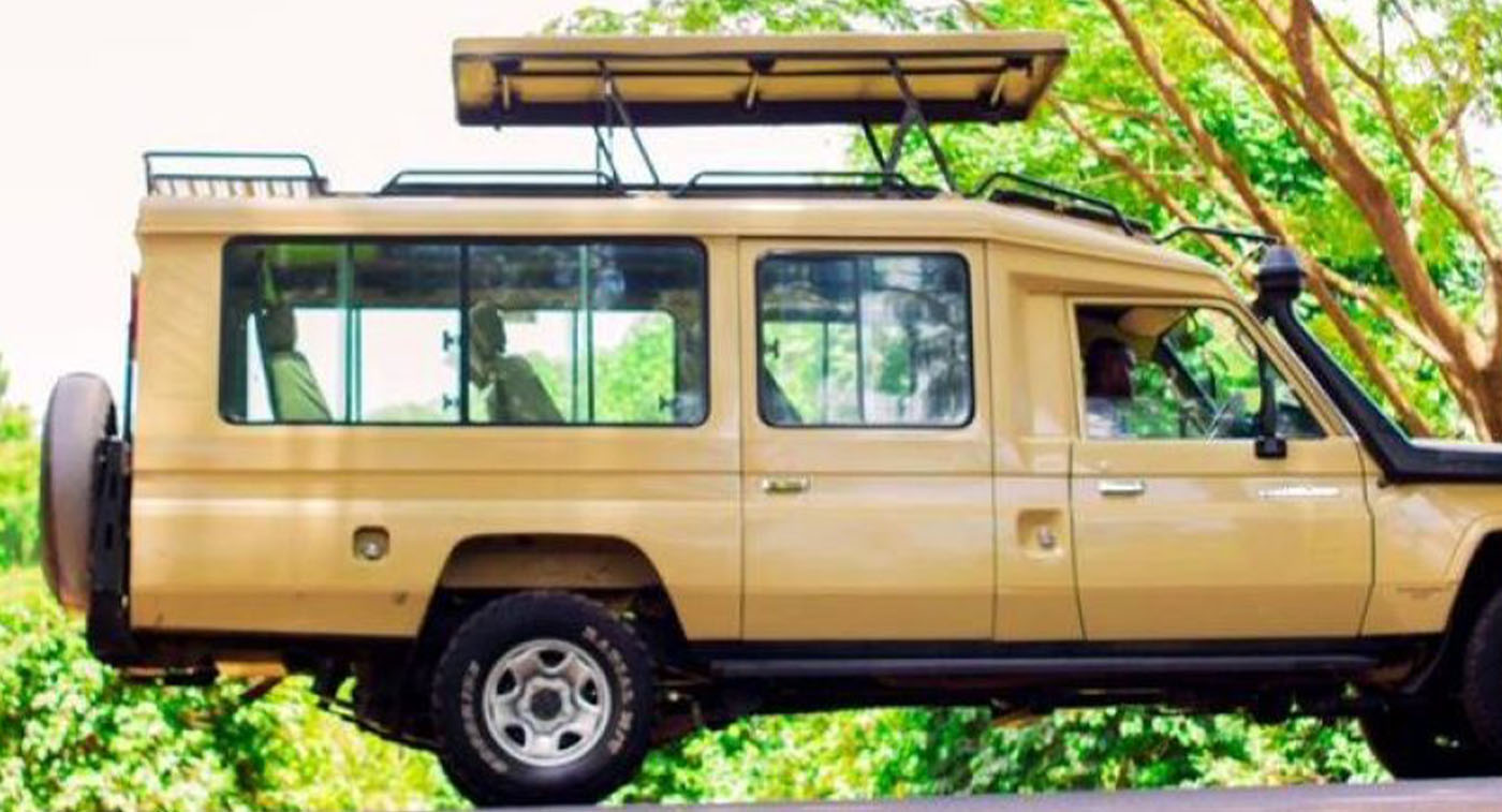 Car Rentals