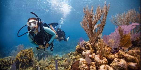 Open Water Diver