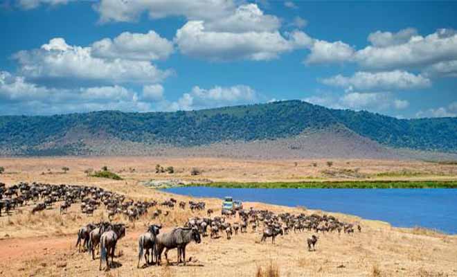Ngorongoro National Park