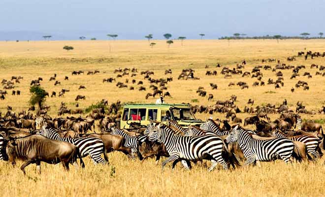 Serengeti National Park