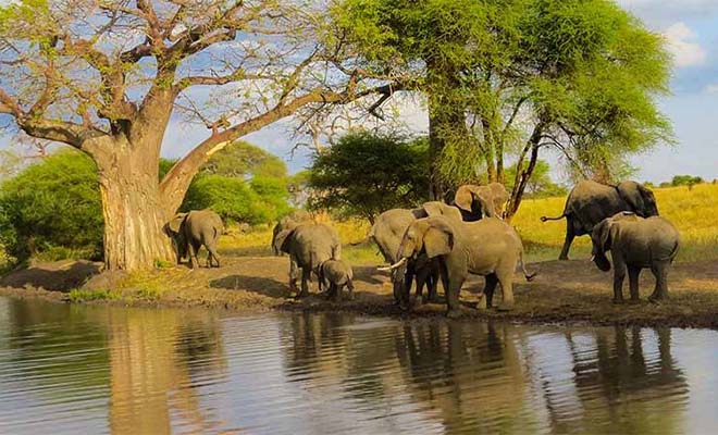 Tarangire National Park