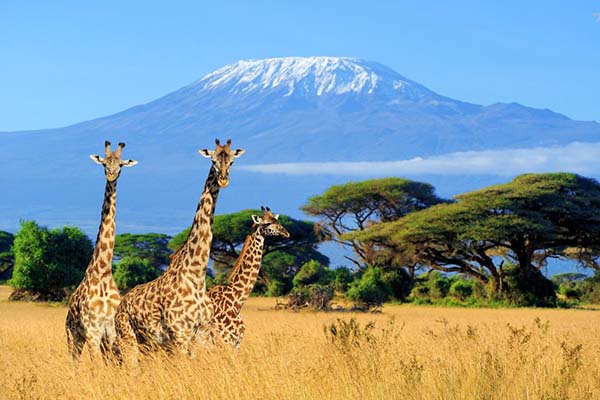 Discover Tanzania Mainland