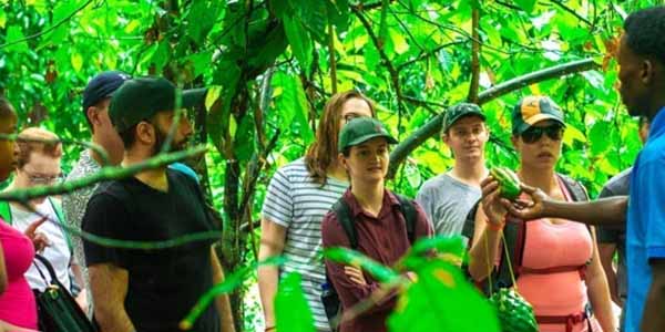 Spice Farm Tour