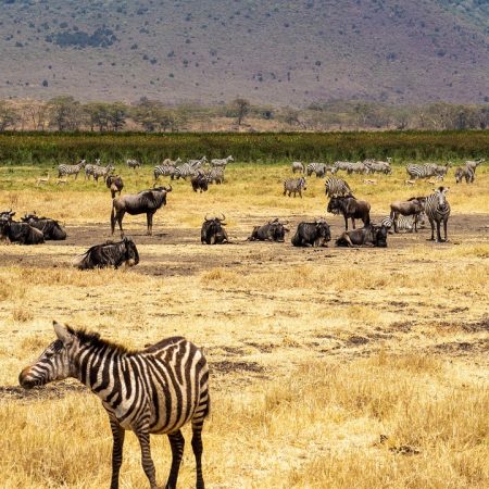 4875_4_g0349dca3f01465ad6a692e6e3f14cf7e07429eaa7f8193ceea7b63a4fb84b694d93b23d2f96b3a12f5ae692b5a7e4d1cc4d2fcce43a8e5790b61ba85dfe3753e_1280