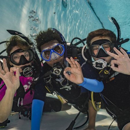 Discover-Scuba-diving-scaled-e1734360849328