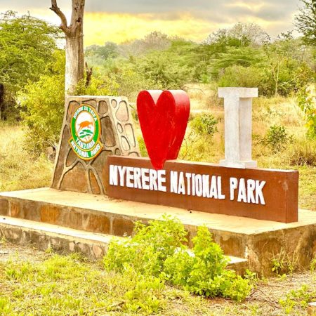I LOVE NYERERE (2).jpg