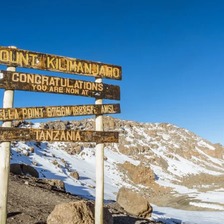 Kilimanjaro-4-scaled.jpg