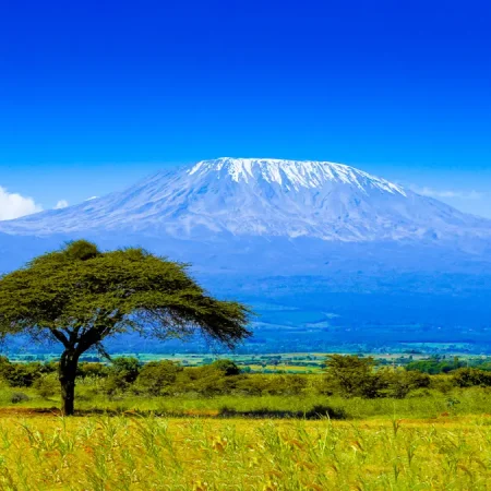 Kilimanjaro