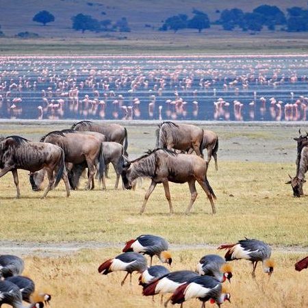 Lake-Manyara-National-Park