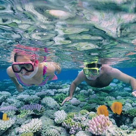 Mnemba-Snorkeling-Nungwi-Sea-Turtles-Kendwa-Beach-1-1030x773