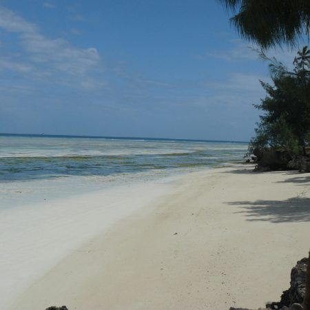 Zanzibar_Beach-9