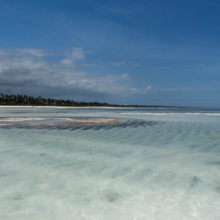 Zanzibar_beach_283391191686629-7