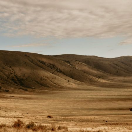 Ngorongoro Crater landscape at dusk