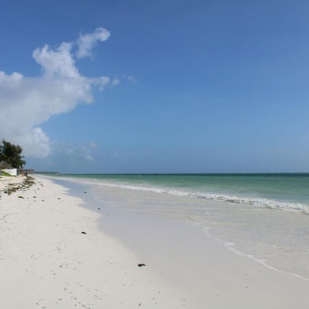 Idyllic white sand beach in Zanzibar