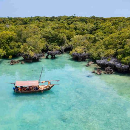 safari-blue-en-tanzania