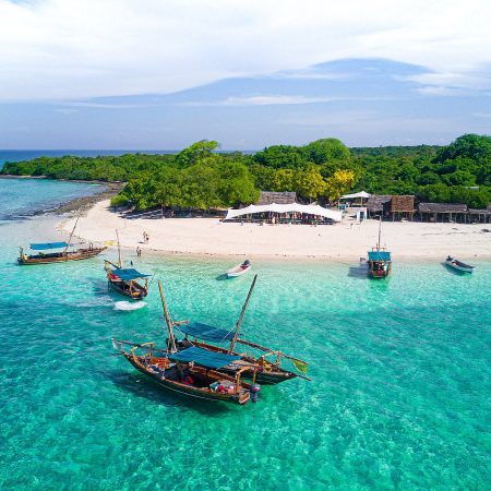 safari-blue-zanzibar
